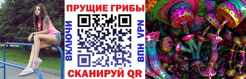Купить закладки  Удачный  Галлюциногенные грибы Magic Shrooms 